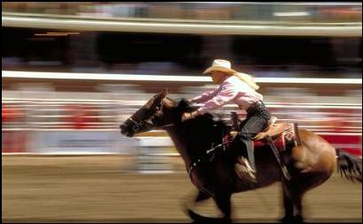 Calgary Stampede, Calgary, Alberta