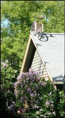 Bicycle on a roof, Kensington, Calgary, Alberta
